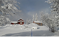 Ett timrat paradis i fjällen, byggt i etapper på 20 kvadratmeter om året.
